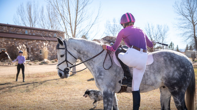 LS Rider Top - Purple Fade