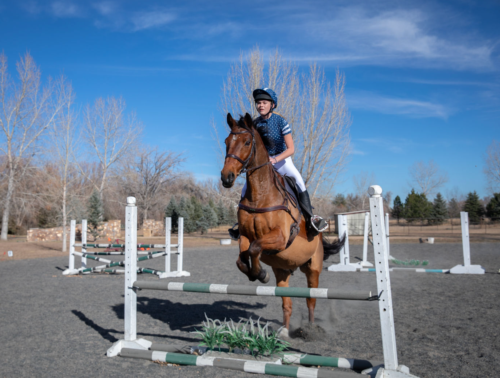 SS Rider Top - Navy Polka Dot